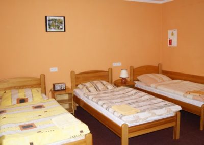 pokoj_nr3_natur_sport_001